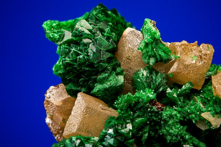 ZINCOLIVENITE on WULFENITE